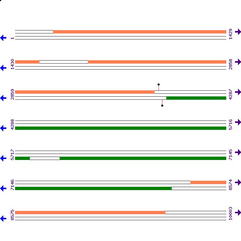 Genome View