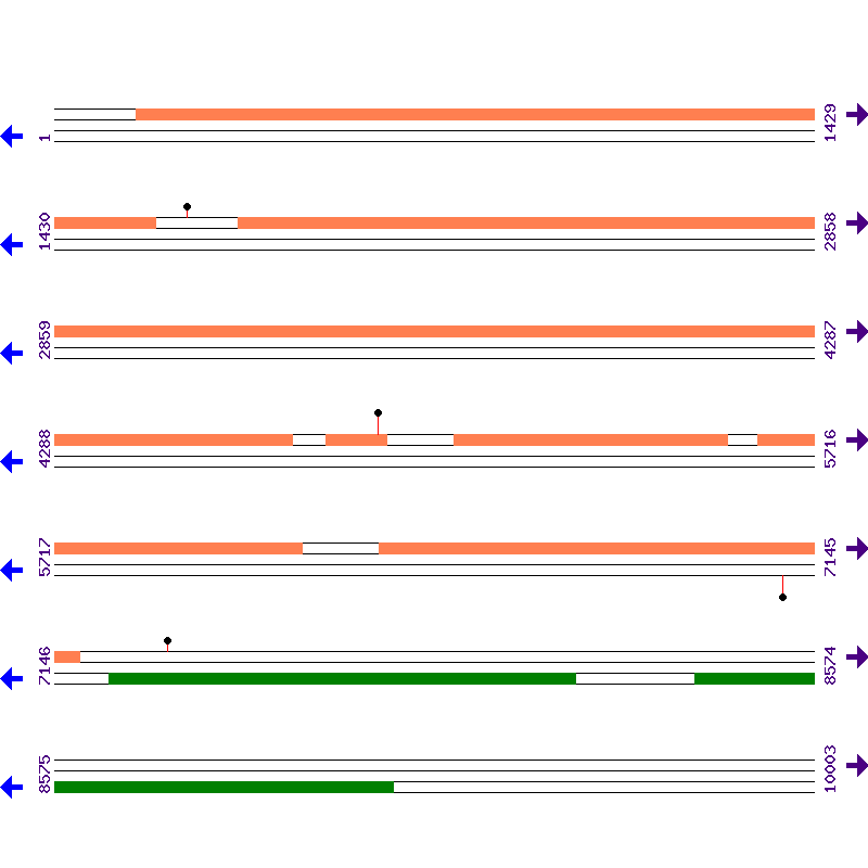 Genome View