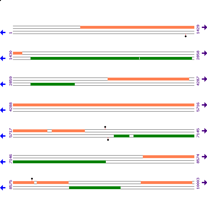 Genome View