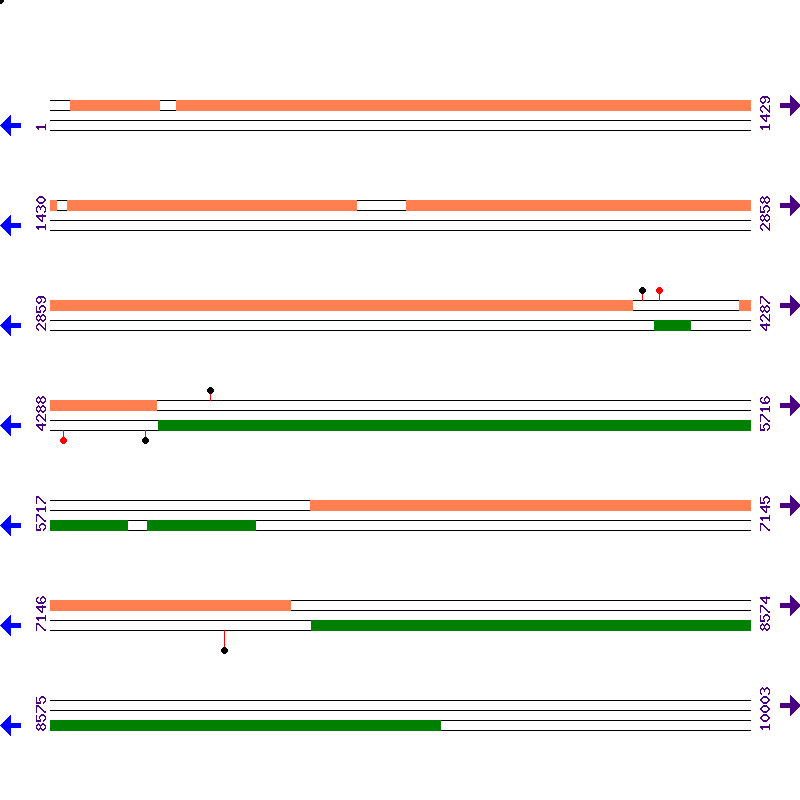 Genome View