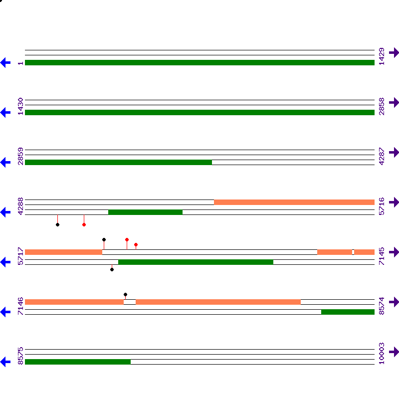 Genome View