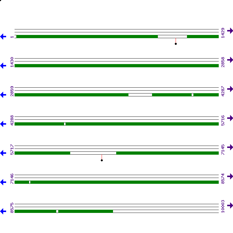 Genome View