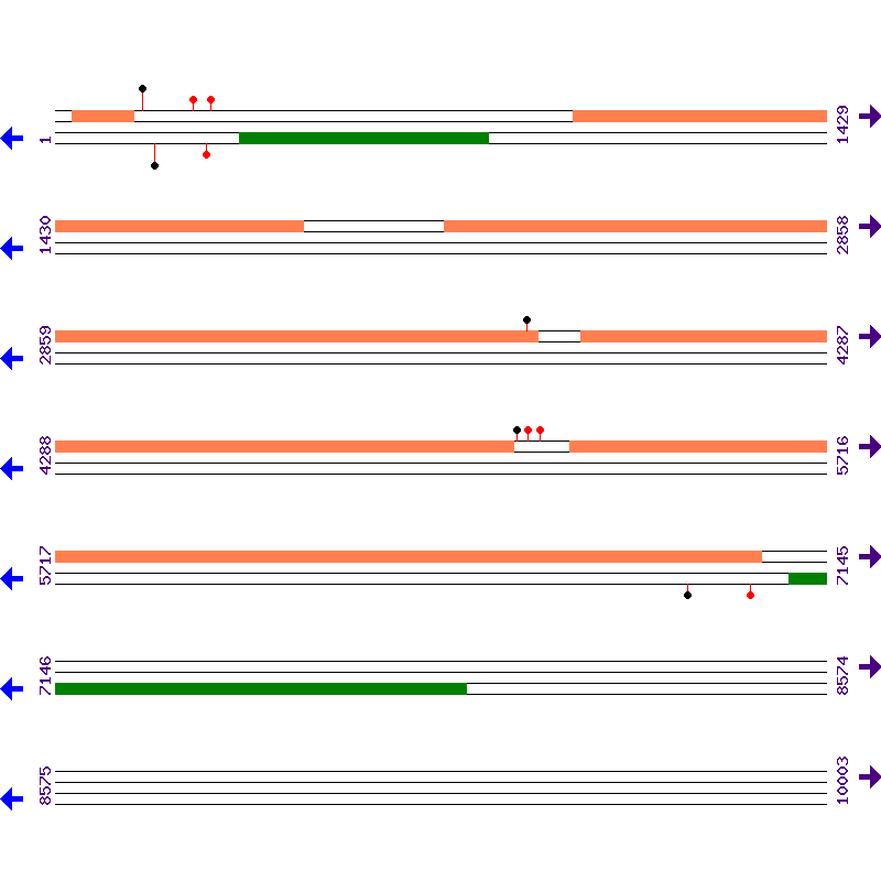Genome View
