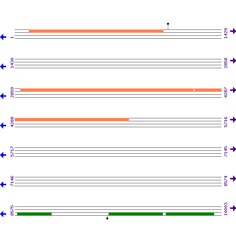 Genome View