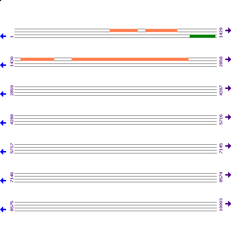 Genome View