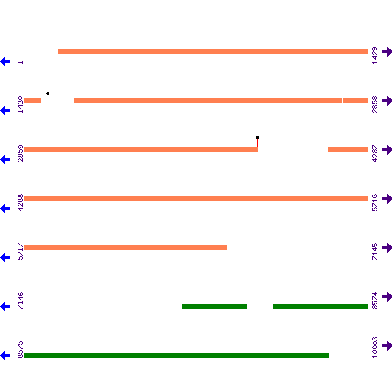 Genome View