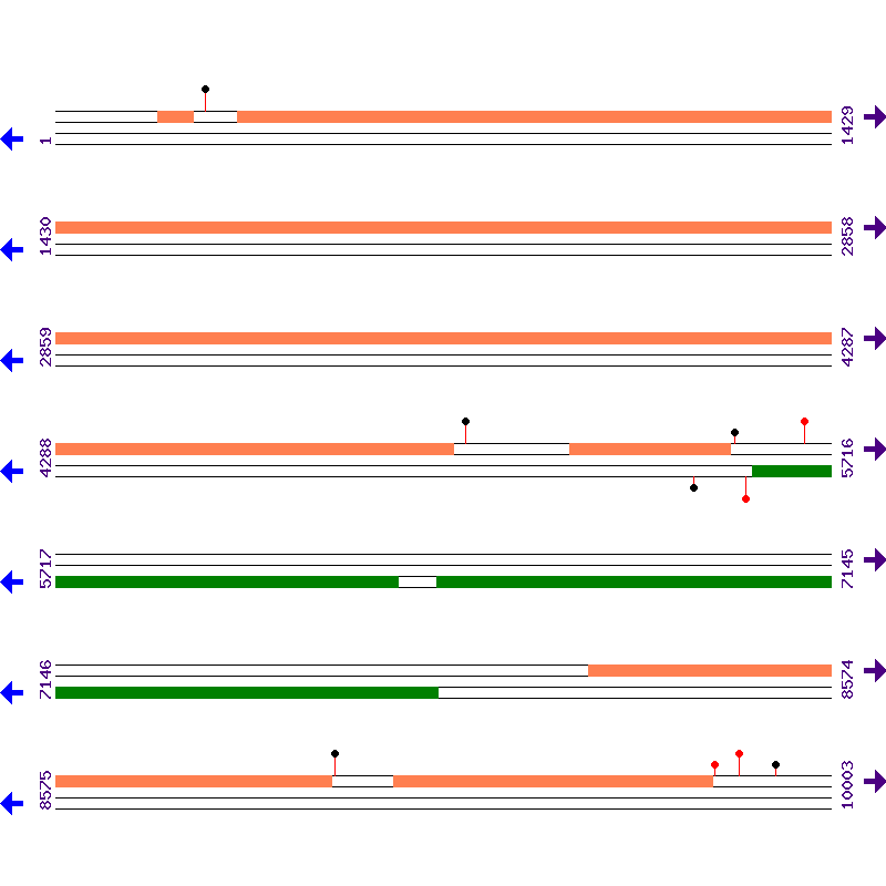 Genome View