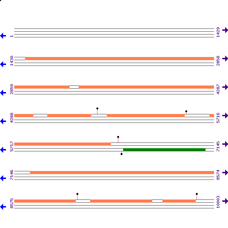 Genome View