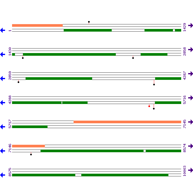 Genome View