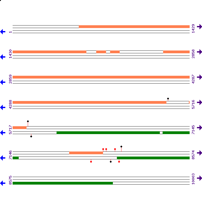 Genome View