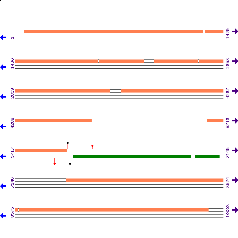 Genome View