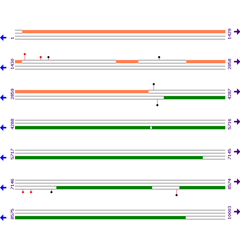 Genome View