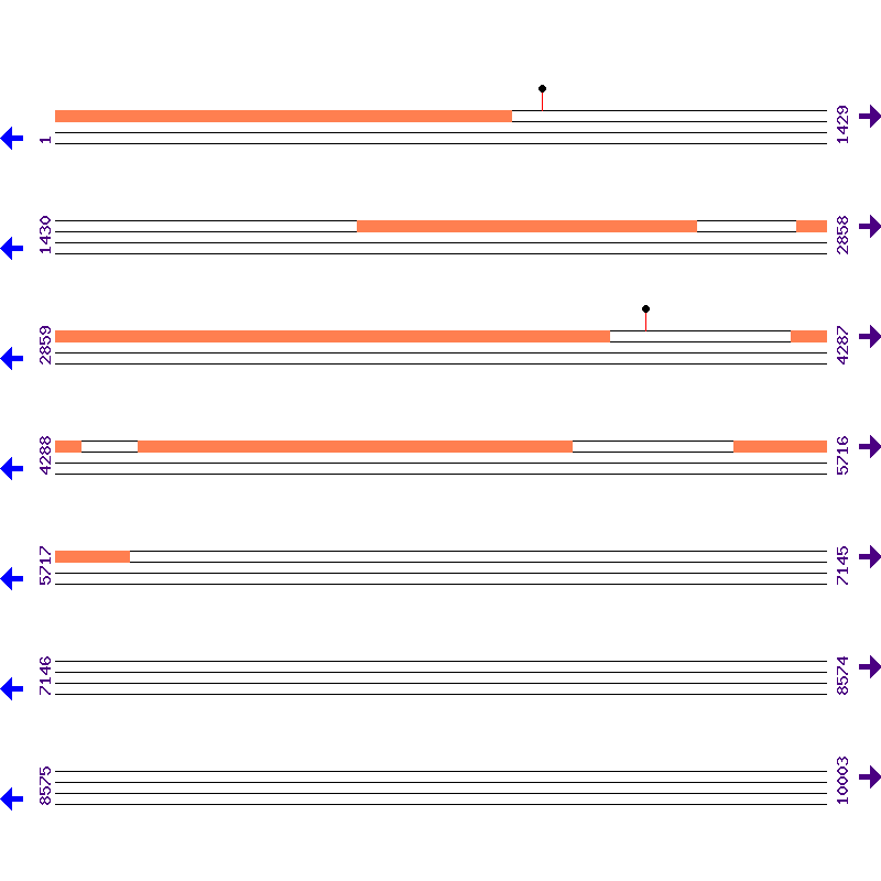 Genome View