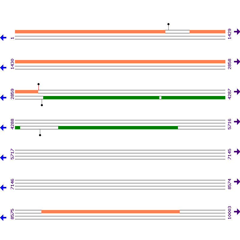 Genome View