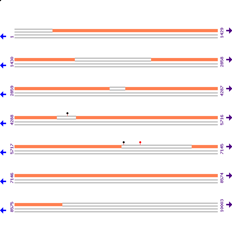 Genome View