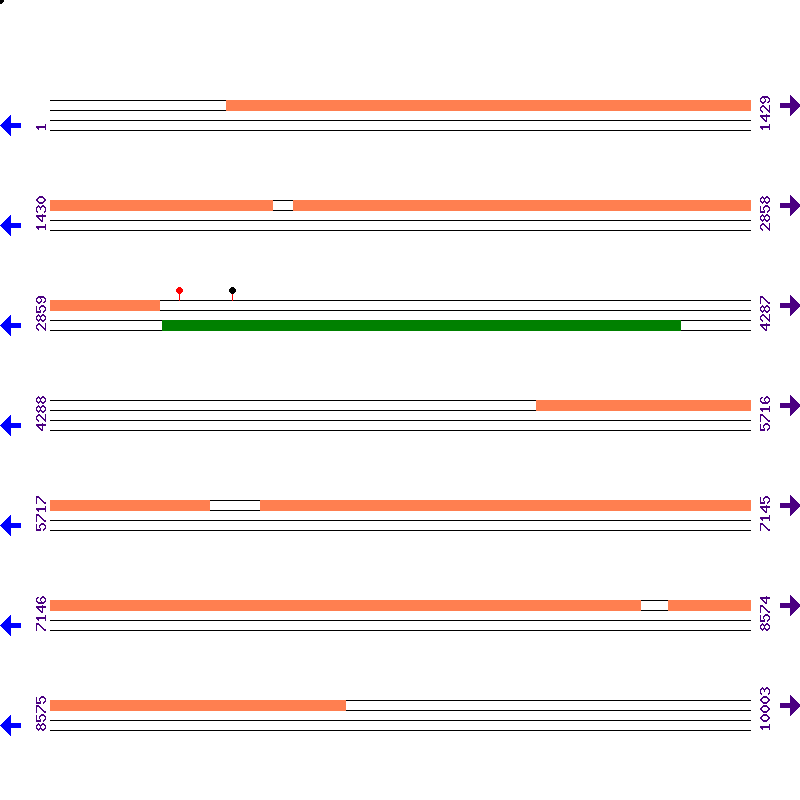 Genome View