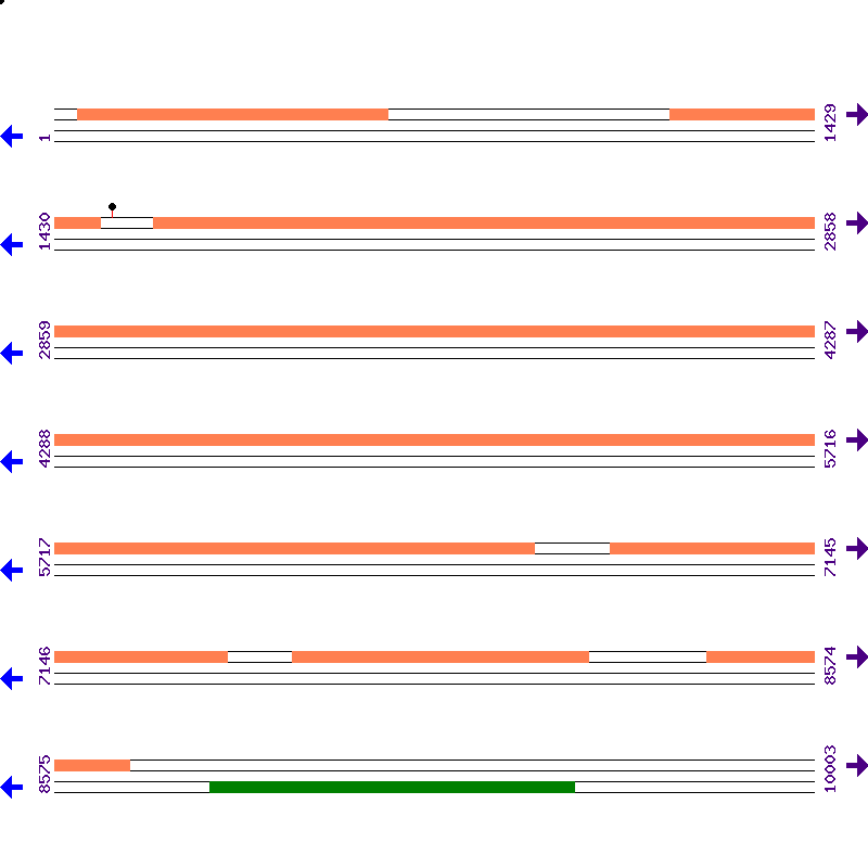 Genome View