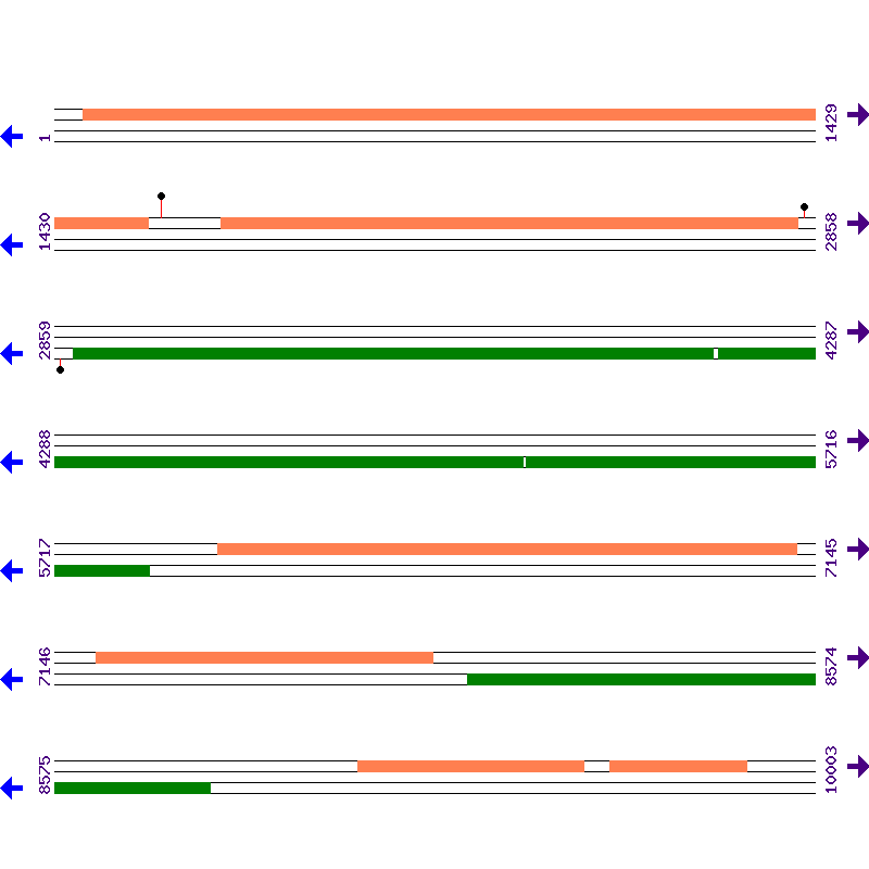 Genome View