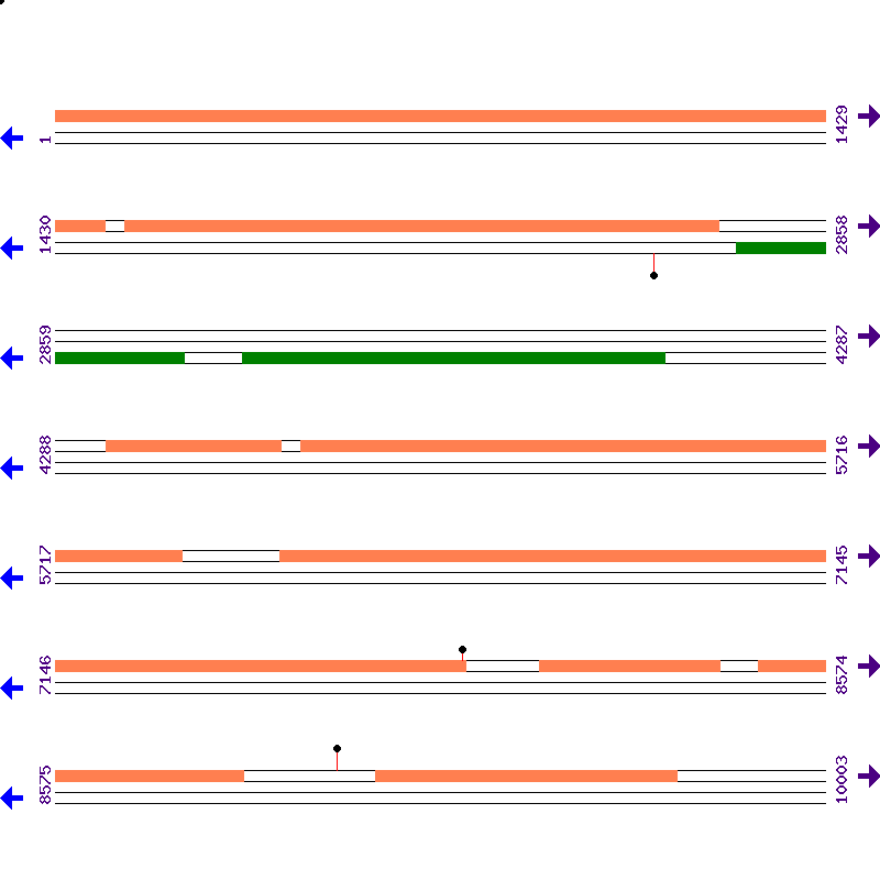 Genome View