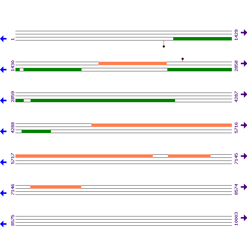 Genome View