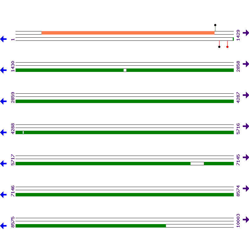 Genome View