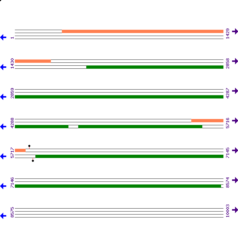Genome View