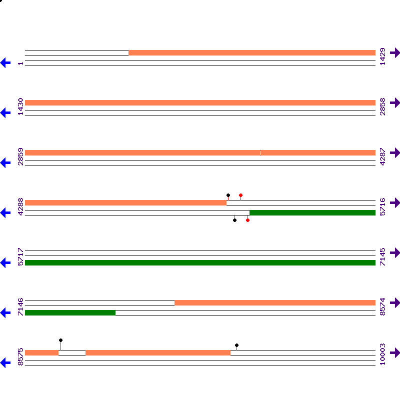 Genome View