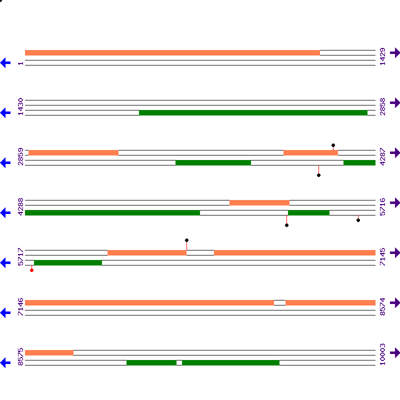 Genome View