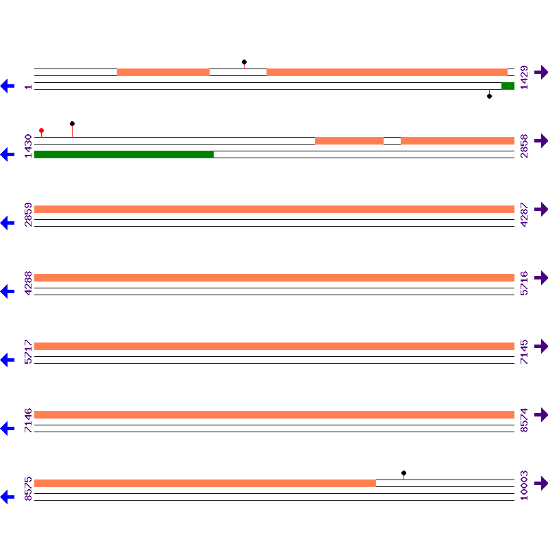 Genome View
