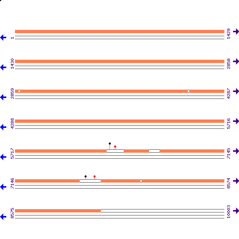 Genome View