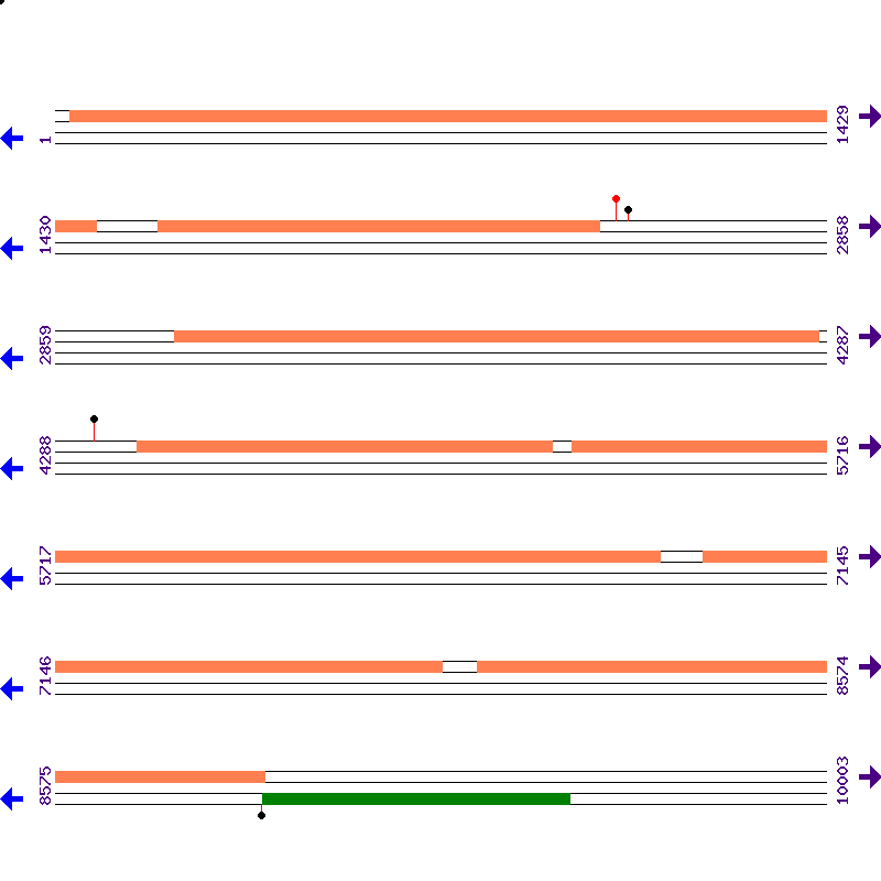 Genome View