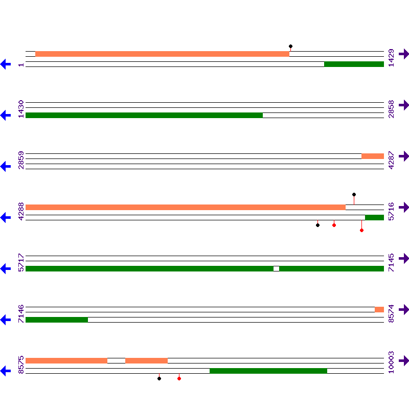 Genome View