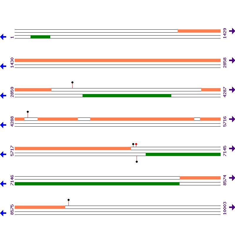 Genome View