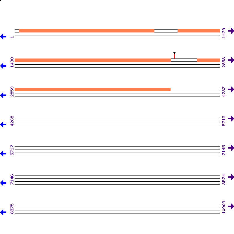 Genome View