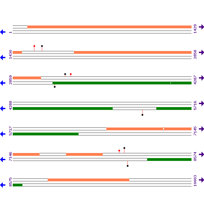 Genome View