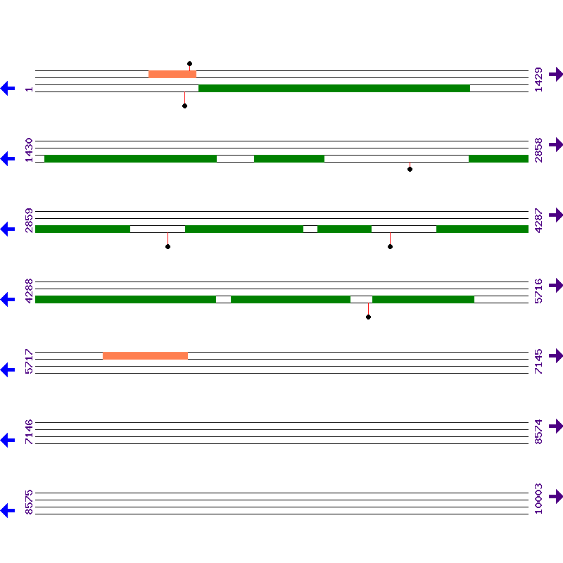 Genome View