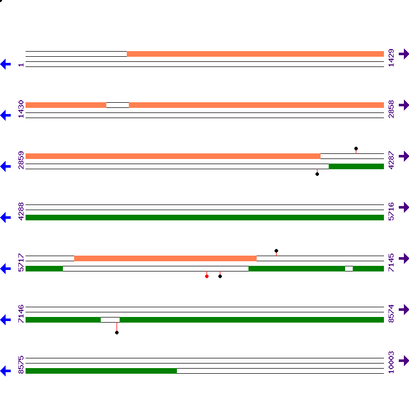 Genome View