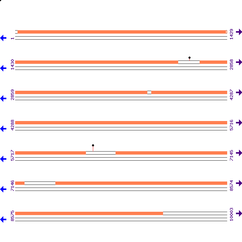 Genome View
