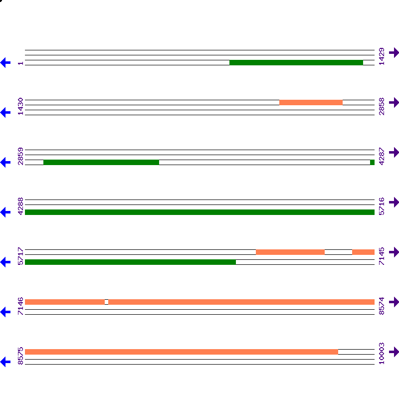 Genome View