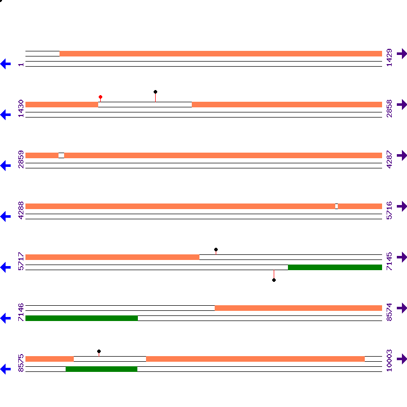 Genome View