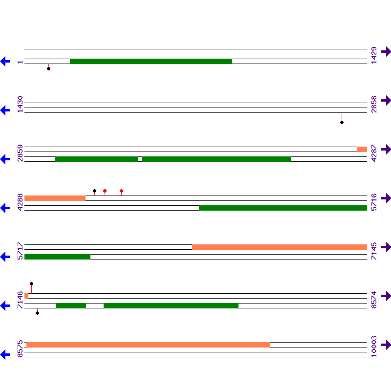 Genome View