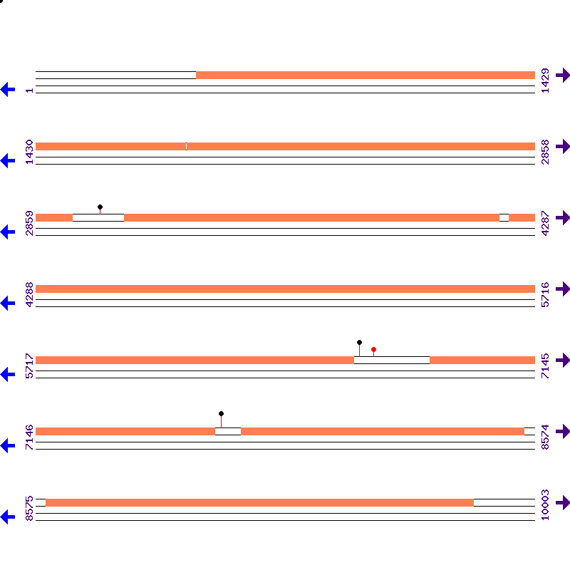Genome View