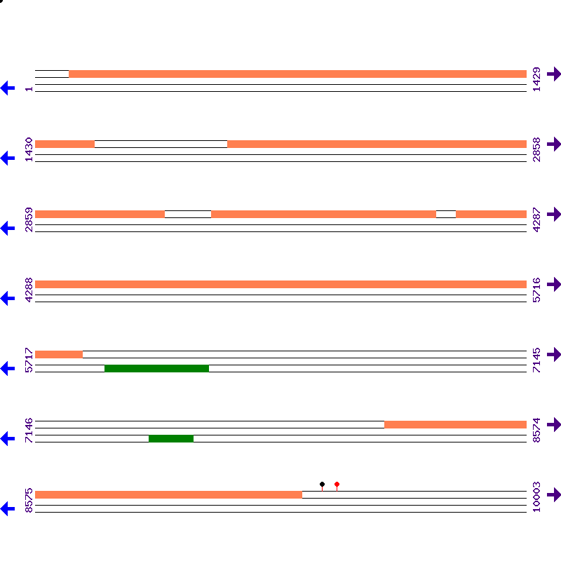Genome View
