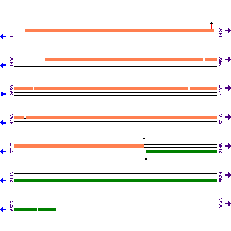 Genome View
