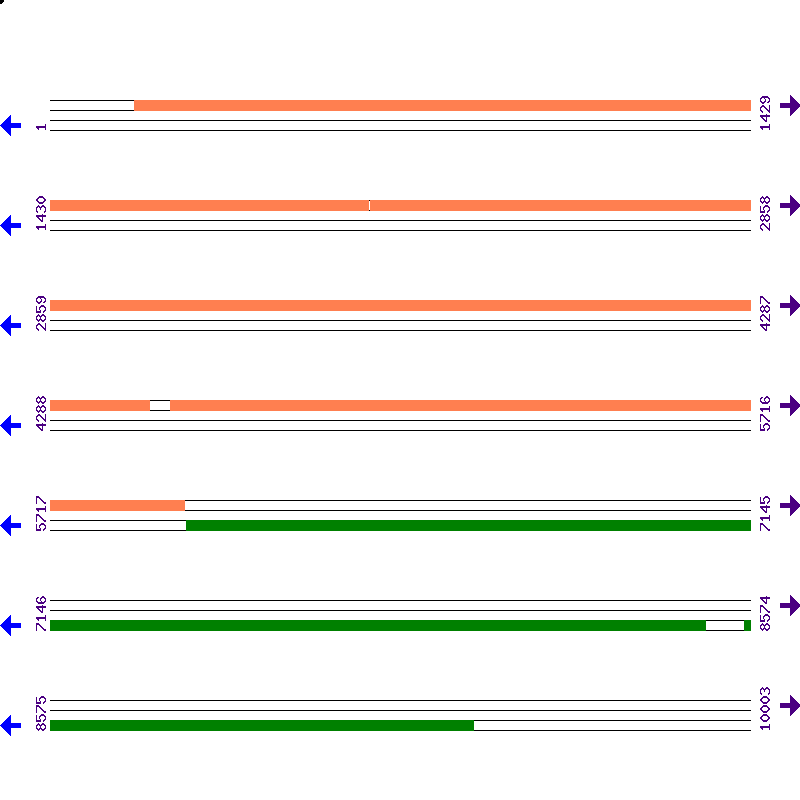 Genome View