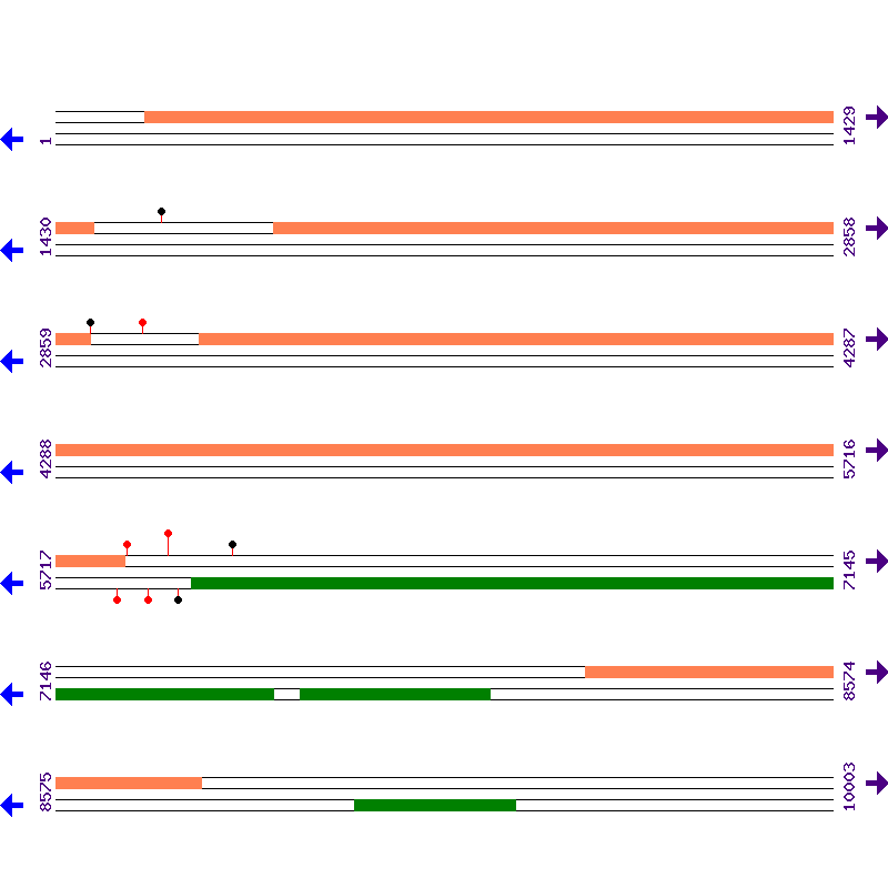 Genome View