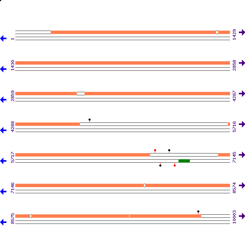 Genome View