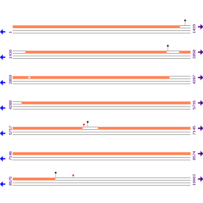 Genome View