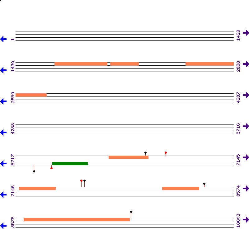 Genome View
