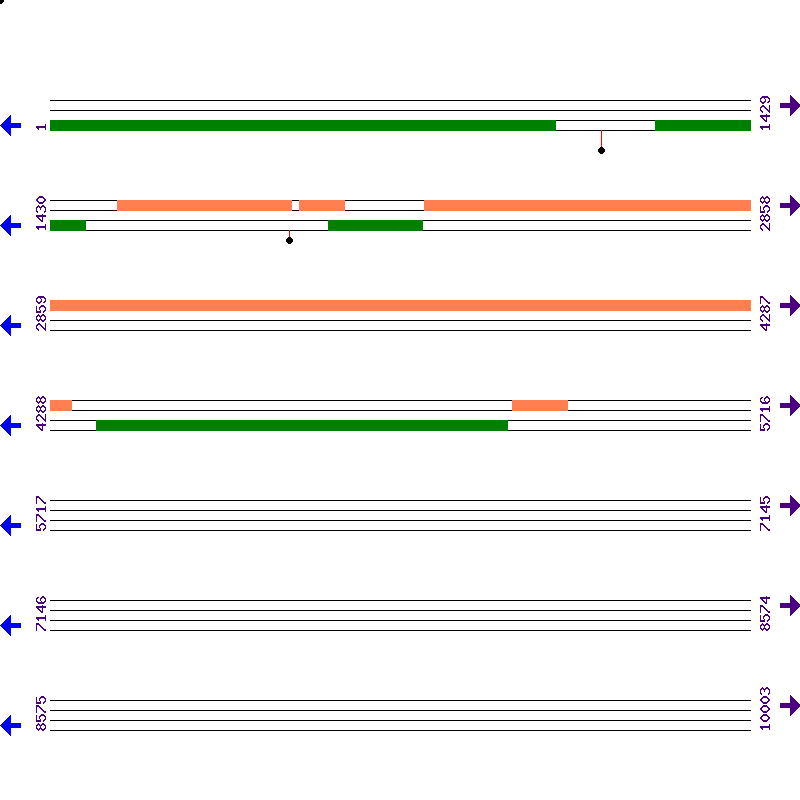 Genome View